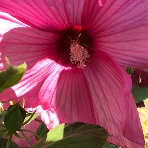 Meet your Posher, Kelli